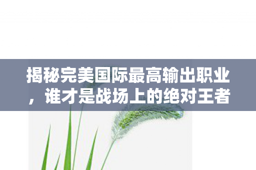 揭秘完美国际最高输出职业图片