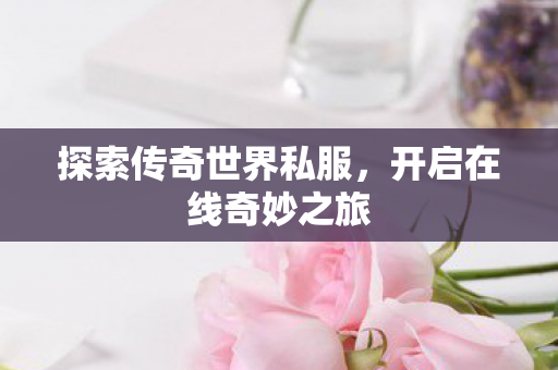 探索传奇世界私服图片
