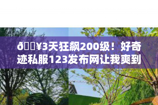 🔥3天狂飙200级!好奇迹私服123发布网让我爽到尖叫! 🔥3天狂飙200级!好奇迹私服123发布网让我爽到尖叫!