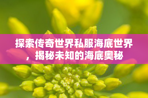 探索传奇世界私服海底世界图片