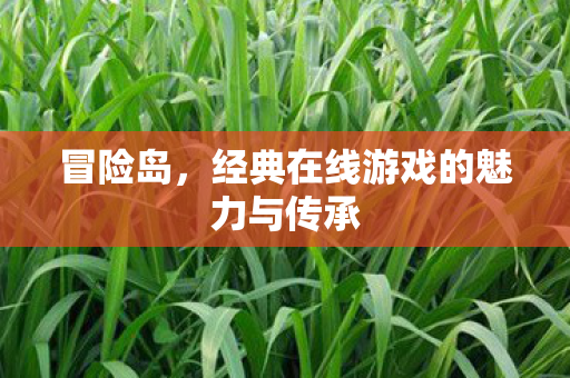 经典在线游戏的魅力与传承图片