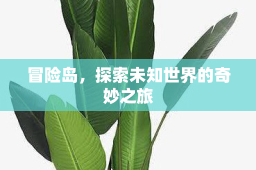 探索未知世界的奇妙之旅图片