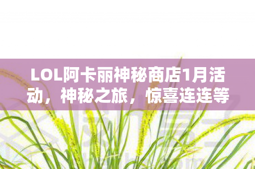LOL阿卡丽神秘商店1月活动图片