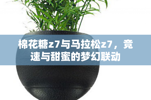 棉花糖z7与马拉松z7,竞速与甜蜜的梦幻联动 棉花糖z7与马拉松z7,竞速与甜蜜的梦幻联动