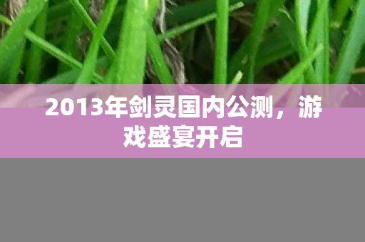 2013年剑灵国内公测,游戏盛宴开启 2013年剑灵国内公测,游戏盛宴开启