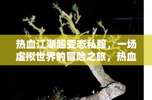 热血江湖超变态私服,一场虚拟世界的冒险之旅,热血江湖超变态私服,虚拟世界的冒险之旅 热血江湖超变态私服,一场虚拟世界的冒险之旅,热血江湖超变态私服,虚拟世界的冒险之旅