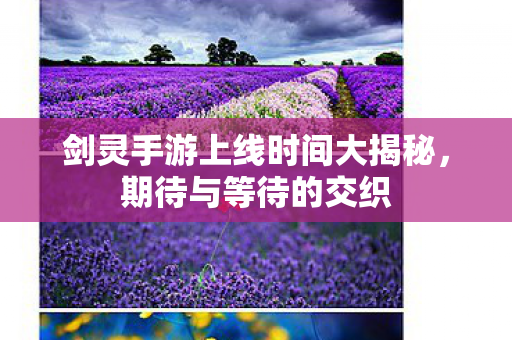 剑灵手游上线时间大揭秘图片