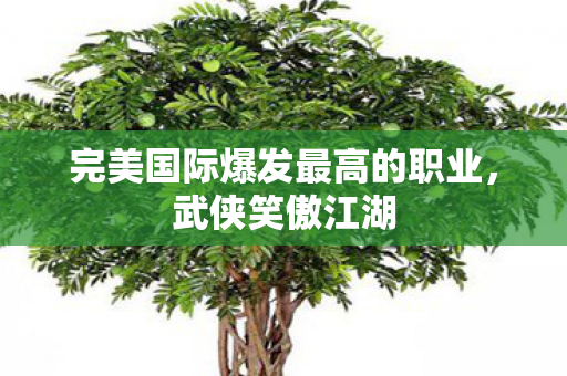完美国际爆发最高的职业图片