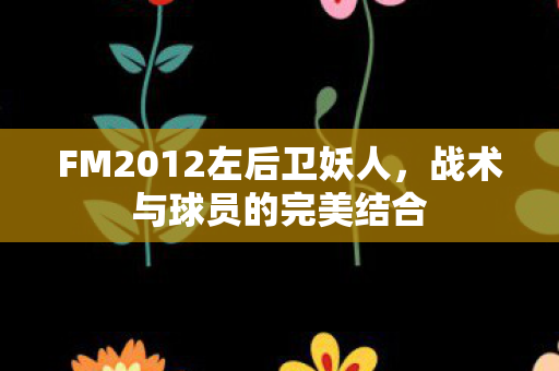 FM2012左后卫妖人,战术与球员的完美结合 FM2012左后卫妖人,战术与球员的完美结合