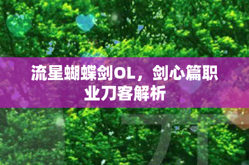 剑心篇职业刀客解析图片
