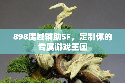 定制你的专属游戏王国图片