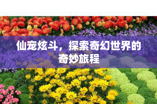 探索奇幻世界的奇妙旅程图片