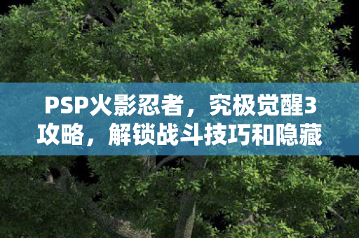 解锁战斗技巧和隐藏角色图片