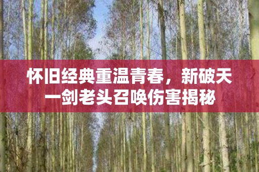 新破天一剑老头召唤伤害揭秘图片