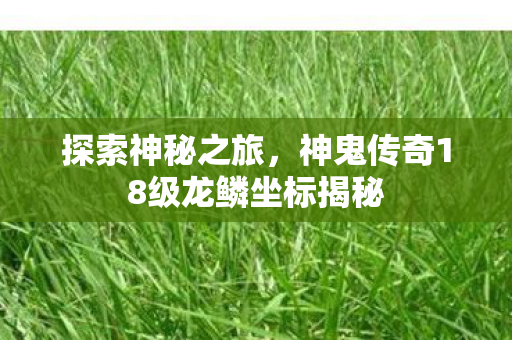 神鬼传奇18级龙鳞坐标揭秘图片