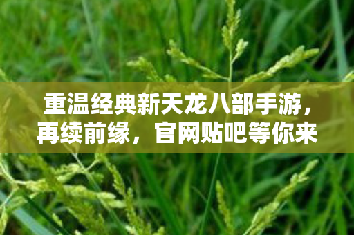 重温经典新天龙八部手游图片
