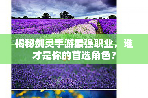 揭秘剑灵手游最强职业图片