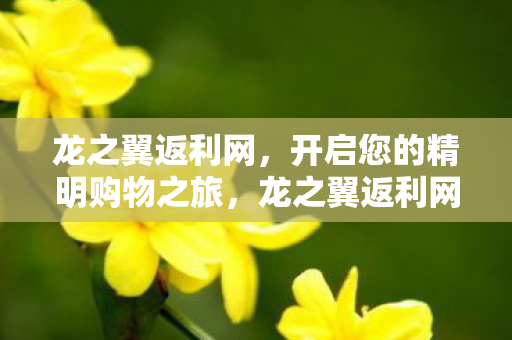 开启您的精明购物之旅图片