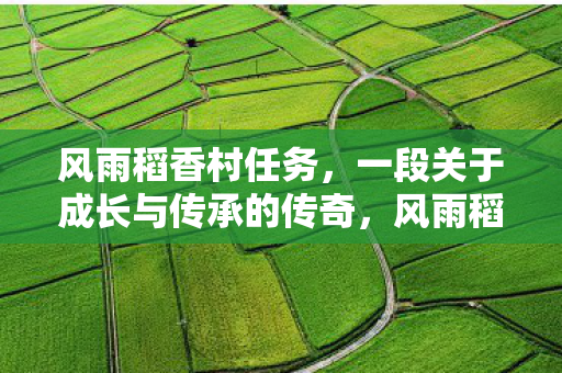 一段关于成长与传承的传奇图片
