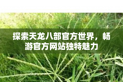 探索天龙八部官方世界图片