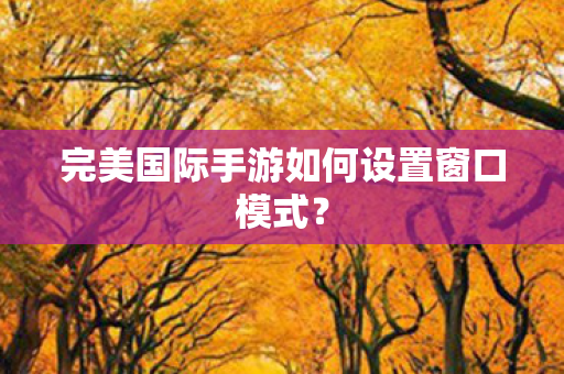 完美国际手游如何设置窗口模式图片