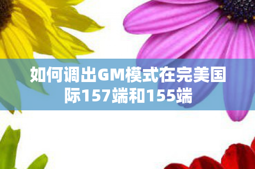 如何调出GM模式在完美国际157端和155端图片