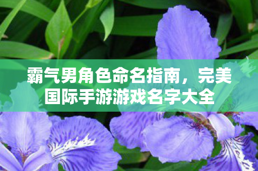 完美国际手游游戏名字大全图片
