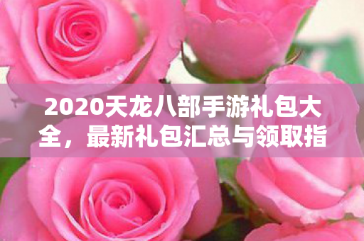 2020天龙八部手游礼包大全图片