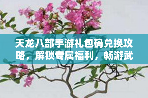 天龙八部手游礼包码兑换攻略图片