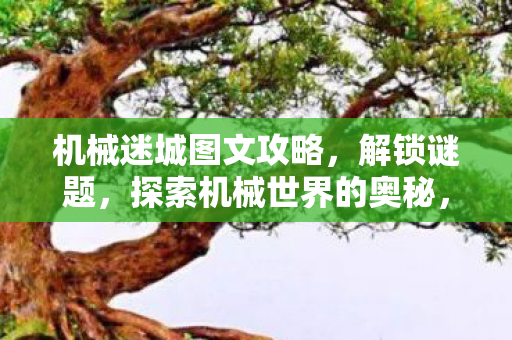 探索机械世界的奥秘图文攻略图片