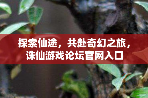 诛仙游戏论坛官网入口图片