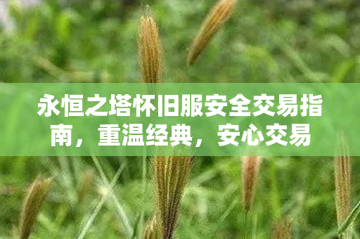 永恒之塔怀旧服安全交易指南图片