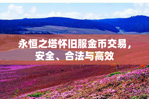 永恒之塔怀旧服金币交易图片