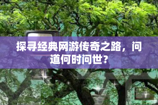 探寻经典网游传奇之路图片