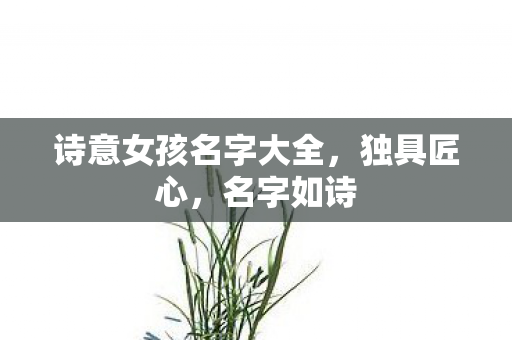 诗意女孩名字大全图片