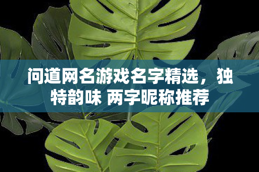 独特韵味 两字昵称推荐图片