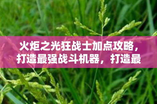 火炬之光狂战士加点攻略图片
