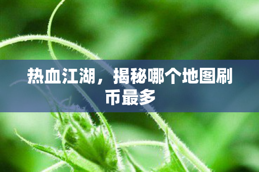 揭秘哪个地图刷币最多图片