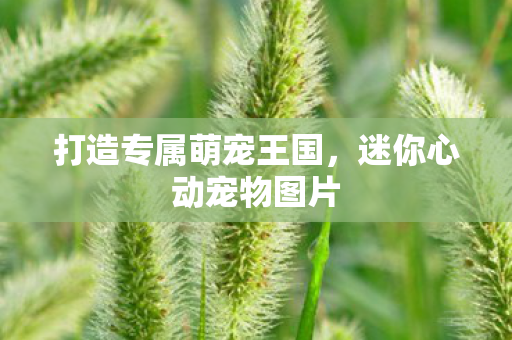 打造专属萌宠王国图片