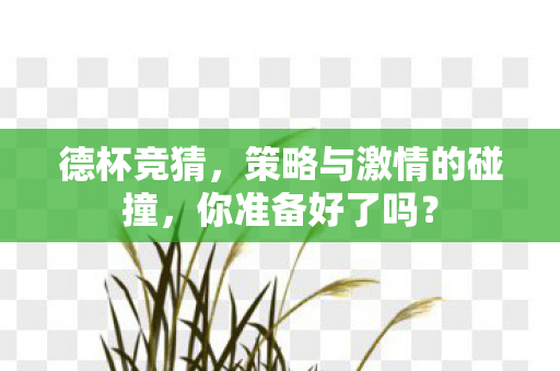 策略与激情的碰撞图片