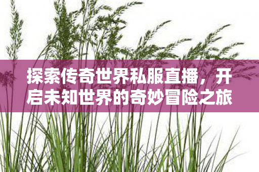 开启未知世界的奇妙冒险之旅图片