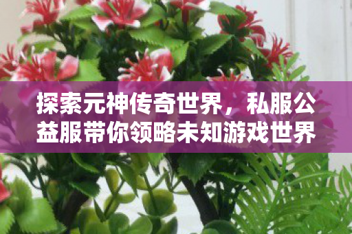 私服公益服带你领略未知游戏世界图片