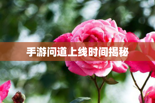 手游问道上线时间揭秘图片
