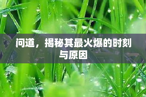 揭秘其最火爆的时刻与原因图片