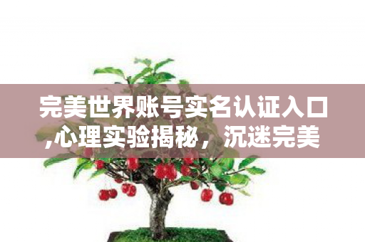 完美世界账号实名认证入口,心理实验揭秘,沉迷完美世界的细思极恐自我麻醉之旅 完美世界账号实名认证入口,心理实验揭秘,沉迷完美世界的细思极恐自我麻醉之旅