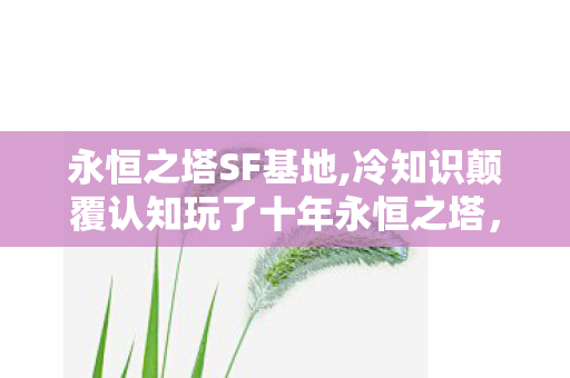 冷知识颠覆认知玩了十年永恒之塔图片
