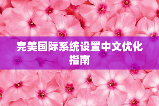 完美国际系统设置中文优化指南图片