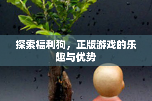 正版游戏的乐趣与优势图片