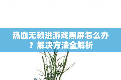 热血无赖进游戏黑屏怎么办图片
