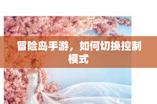 如何切换控制模式图片